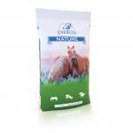Energys Cornflakes