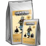 Carneeval Festive Turkey