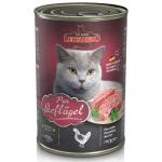 Leonardo rich in poultry