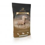 Energys Dynamix