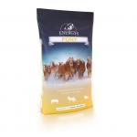 Energys Pony